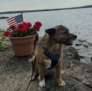 Meet your Posher, Diana